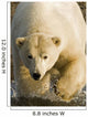 Polar Bear Walking Into The Coastal Waters Near Kaktovik, Alaska Wall Mural