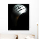 Manual car gear shift Wall Mural
