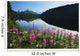 Scenic View Of Auke Lake On A Clear Day With Fireweed Wall Mural