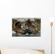 Two Brown Bears Fighting In River Geographic Harbor Ak Sw Summer Wall Mural