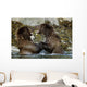 Two Brown Bears Fighting In River Geographic Harbor Ak Sw Summer Wall Mural