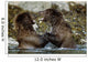 Two Brown Bears Fighting In River Geographic Harbor Ak Sw Summer Wall Mural