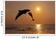 Pair Of Bottle Nose Dolphins Jumping At Sunset Wall Mural