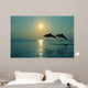 Pair Of Bottle Nose Dolphins Jumping At Sunset Wall Mural