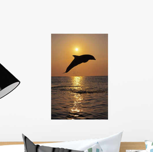 Bottle Nose Dolphin Jumping At Sunset Wall Mural