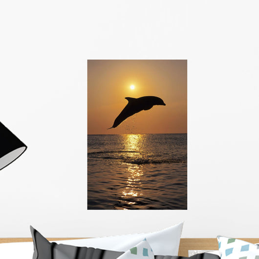 Bottle Nose Dolphin Jumping At Sunset Wall Mural
