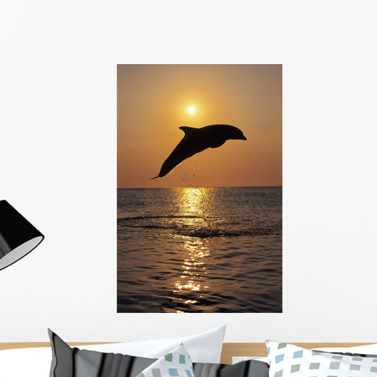 Bottle Nose Dolphin Jumping At Sunset Wall Mural