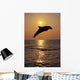 Bottle Nose Dolphin Jumping At Sunset Wall Mural