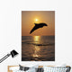 Bottle Nose Dolphin Jumping At Sunset Wall Mural