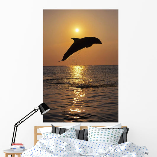 Bottle Nose Dolphin Jumping At Sunset Wall Mural