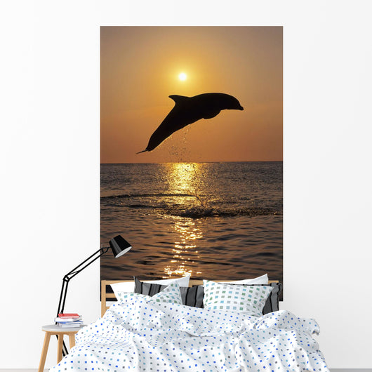 Bottle Nose Dolphin Jumping At Sunset Wall Mural