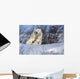 Polar Bear Sow & Cubs Resting In Snow Churchill Canada Wall Mural