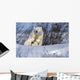 Polar Bear Sow & Cubs Resting In Snow Churchill Canada Wall Mural