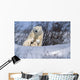 Polar Bear Sow & Cubs Resting In Snow Churchill Canada Wall Mural