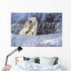 Polar Bear Sow & Cubs Resting In Snow Churchill Canada Wall Mural