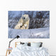 Polar Bear Sow & Cubs Resting In Snow Churchill Canada Wall Mural
