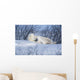 Polar Bear Sow & Cubs Resting In Snow Churchill Canada Wall Mural