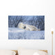 Polar Bear Sow & Cubs Resting In Snow Churchill Canada Wall Mural