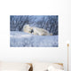 Polar Bear Sow & Cubs Resting In Snow Churchill Canada Wall Mural
