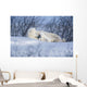 Polar Bear Sow & Cubs Resting In Snow Churchill Canada Wall Mural