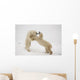 Polar Bears Play Fighting At Churchill, Manitoba, Canada Wall Mural