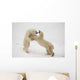 Polar Bears Play Fighting At Churchill, Manitoba, Canada Wall Mural