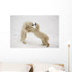 Polar Bears Play Fighting At Churchill, Manitoba, Canada Wall Mural