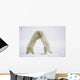 Polar Bears On Hind Feet Play Fighting At Churchill, Manitoba, Canada Wall Mural