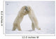 Polar Bears On Hind Feet Play Fighting At Churchill, Manitoba, Canada Wall Mural