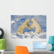Polar Bears Wrestling And Play Fighting At Churchill, Manitoba, Canada Wall Mural