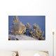 Mountain Goat Billys Wall Mural