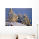 Mountain Goat Billys Wall Mural