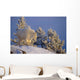 Mountain Goat Billys Wall Mural