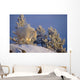 Mountain Goat Billys Wall Mural