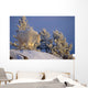 Mountain Goat Billys Wall Mural
