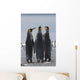 Group Of King Penguins Standing Together Wall Mural