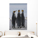 Group Of King Penguins Standing Together Wall Mural