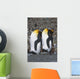 Pair Of King Penguins Sleeping Standing Up Wall Mural
