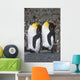 Pair Of King Penguins Sleeping Standing Up Wall Mural