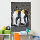 Pair Of King Penguins Sleeping Standing Up Wall Mural
