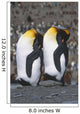 Pair Of King Penguins Sleeping Standing Up Wall Mural