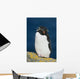 Portrait Of Rockhopper Penguin Standing Wall Mural