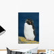 Portrait Of Rockhopper Penguin Standing Wall Mural