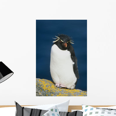 Portrait Rockhopper Penguin Standing Wall Mural shown on a wall