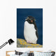 Portrait Of Rockhopper Penguin Standing Wall Mural