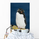 Portrait Of Rockhopper Penguin Standing Wall Mural