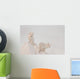 Two Arctic Foxes Stand Wall Mural