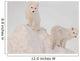 Two Arctic Foxes Stand Wall Mural
