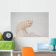 Arctic Fox Stands In Late Afternoon Sun On Top Of A Large Chunk Of Ice Wall Mural