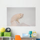 Arctic Fox Stands In Late Afternoon Sun On Top Of A Large Chunk Of Ice Wall Mural